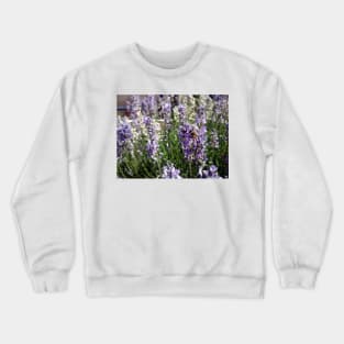 lavender Crewneck Sweatshirt